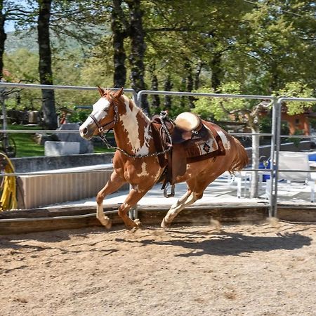 Holiday Home With Swimming Pool, Donkeys And Horses Vrlika Exteriör bild