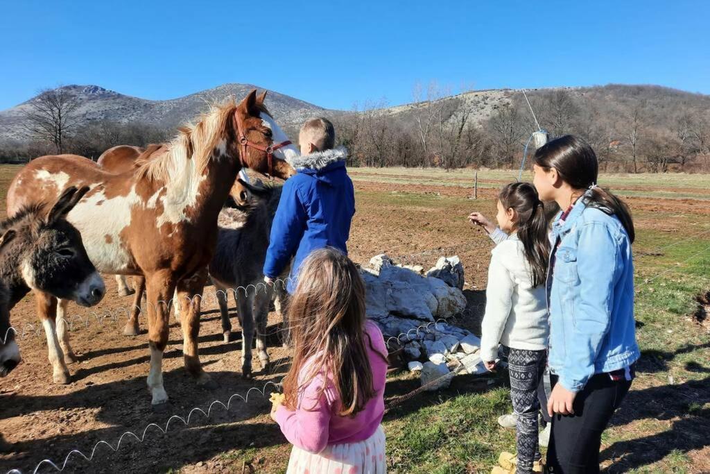 Holiday Home With Swimming Pool, Donkeys And Horses Vrlika Exteriör bild