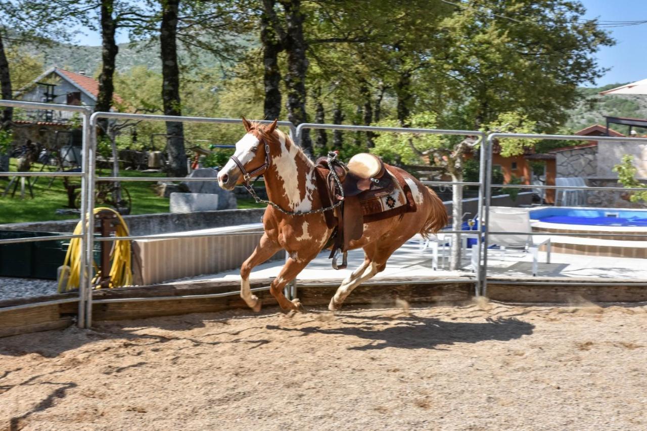 Holiday Home With Swimming Pool, Donkeys And Horses Vrlika Exteriör bild