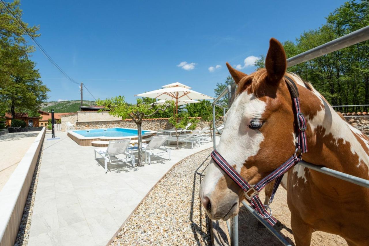 Holiday Home With Swimming Pool, Donkeys And Horses Vrlika Exteriör bild